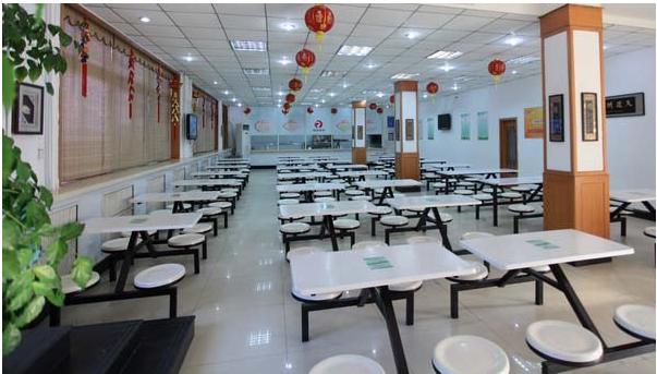 食堂日皮视频APP苹果下载工程图片