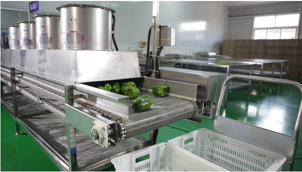 中央日皮视频APP苹果下载工程图片