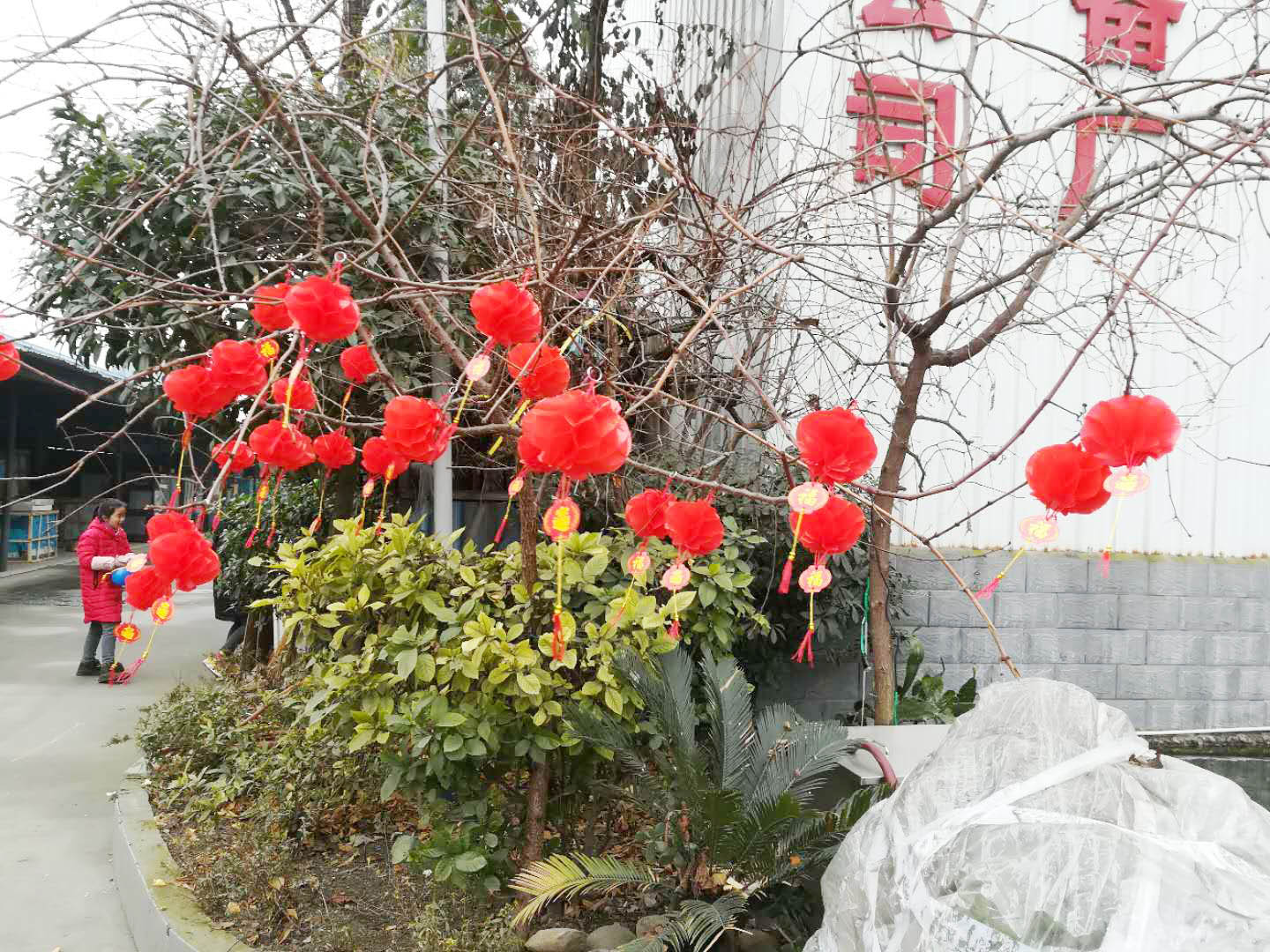 四川日皮视频软件下载日皮视频APP苹果下载设备公司年会4