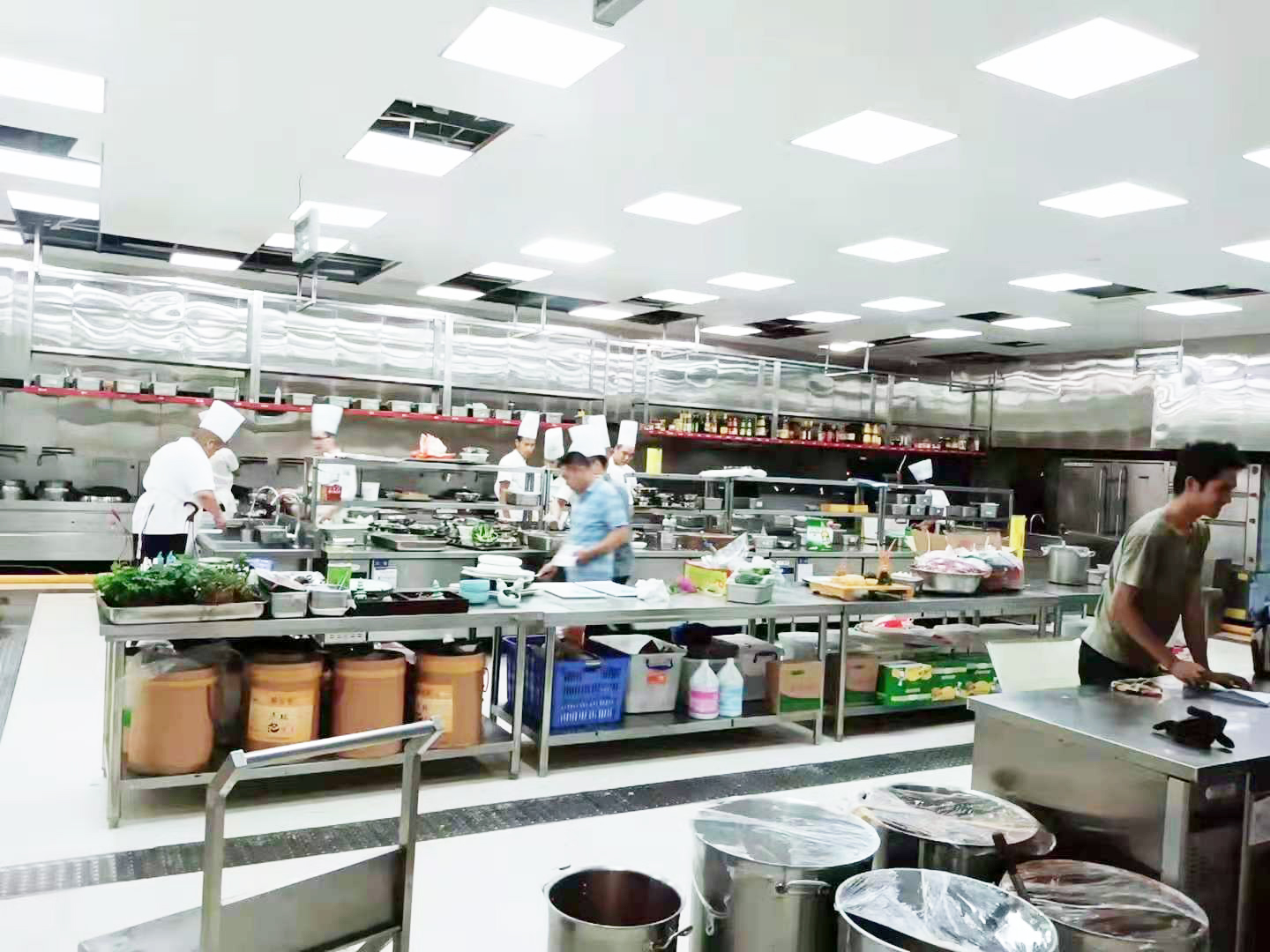 食堂日皮视频APP苹果下载设备1