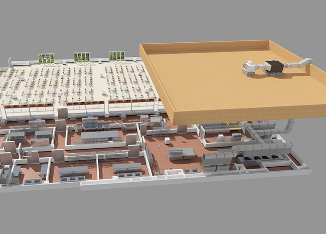 日皮视频APP苹果下载抽排系统设计