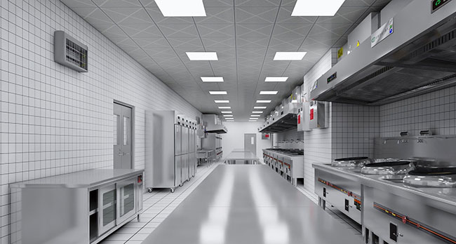 大型日皮视频APP苹果下载设计