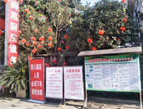 疫情无情人有情，我为抗疫做贡献！