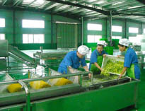 四川中央日皮视频APP苹果下载设备厂家详解中央日皮视频APP苹果下载的分区要自己设计注意事项